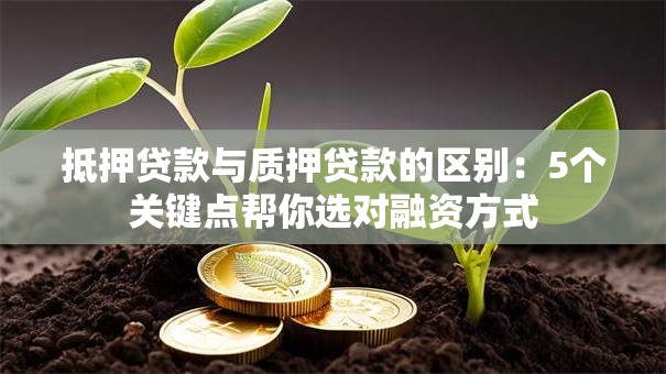抵押贷款与质押贷款的区别:5个关键点帮你选对融资方式 抵押贷款与质押贷款的区别:5个关键点帮你选对融资方式