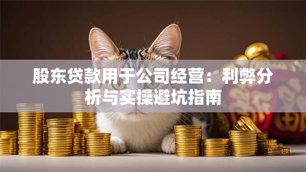 股东贷款用于公司经营：利弊分析与实操避坑指南