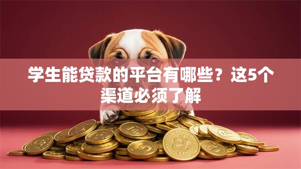 学生能贷款的平台有哪些?这5个渠道必须了解 学生能贷款的平台有哪些?这5个渠道必须了解