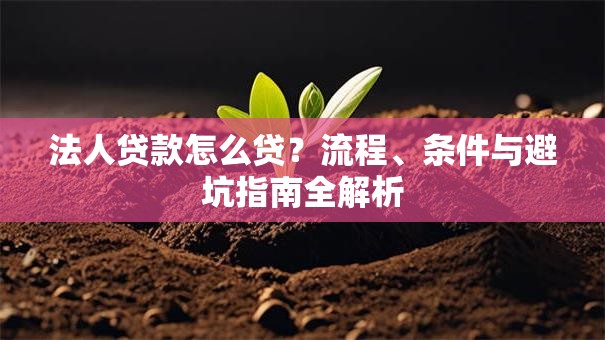 法人贷款怎么贷？流程、条件与避坑指南全解析