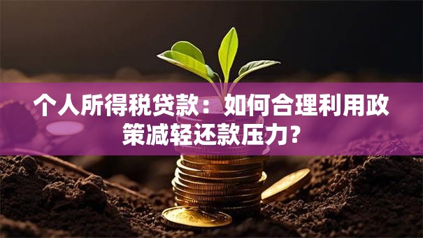 个人所得税贷款：如何合理利用政策减轻还款压力？