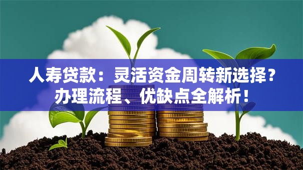 人寿贷款:灵活资金周转新选择?办理流程、优缺点全解析! 人寿贷款:灵活资金周转新选择?办理流程、优缺点全解析!
