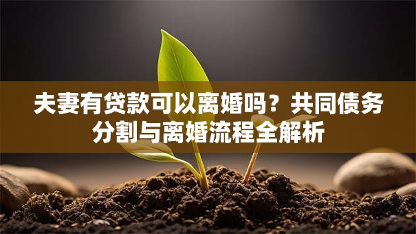 夫妻有贷款可以离婚吗?共同债务分割与离婚流程全解析 夫妻有贷款可以离婚吗?共同债务分割与离婚流程全解析