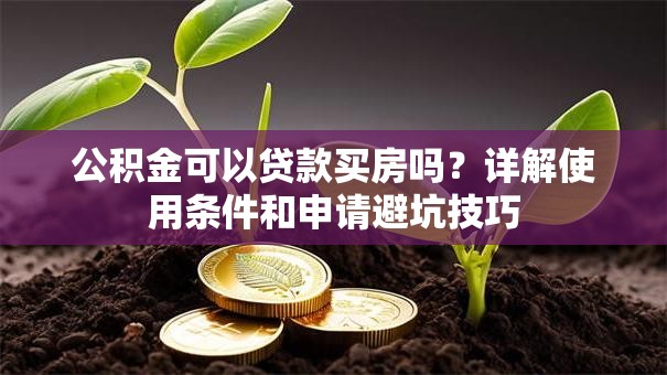 公积金可以贷款买房吗？详解使用条件和申请避坑技巧
