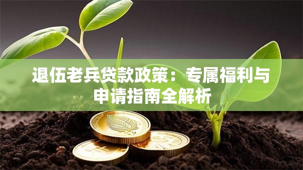 退伍老兵贷款政策：专属福利与申请指南全解析