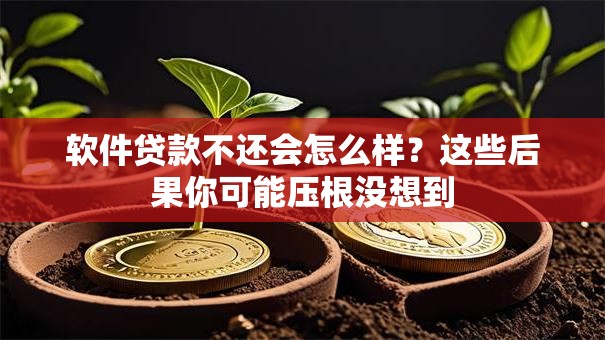 软件贷款不还会怎么样?这些后果你可能压根没想到 软件贷款不还会怎么样?这些后果你可能压根没想到