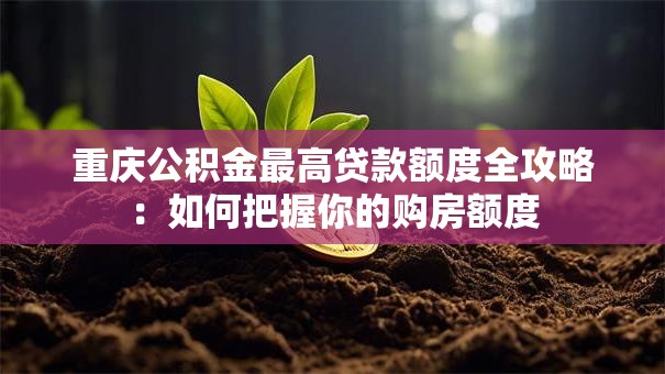 重庆公积金最高贷款额度全攻略：如何把握你的购房额度