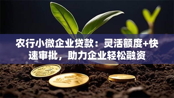 农行小微企业贷款：灵活额度+快速审批，助力企业轻松融资