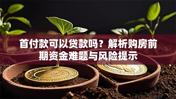 首付款可以贷款吗？解析购房前期资金难题与风险提示