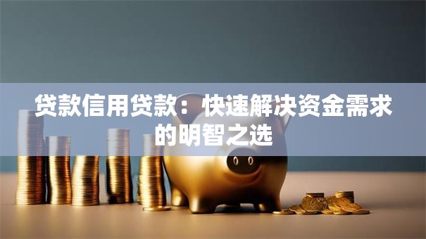 贷款信用贷款:快速解决资金需求的明智之选 贷款信用贷款:快速解决资金需求的明智之选