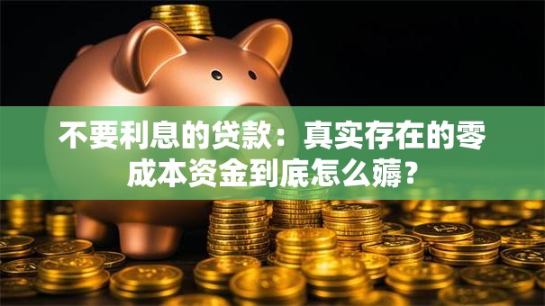 不要利息的贷款：真实存在的零成本资金到底怎么薅？