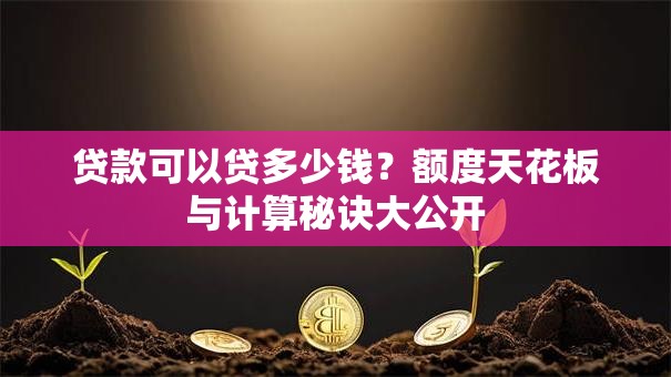 贷款可以贷多少钱?额度天花板与计算秘诀大公开 贷款可以贷多少钱?额度天花板与计算秘诀大公开