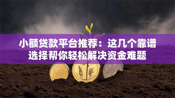 小额贷款平台推荐：这几个靠谱选择帮你轻松解决资金难题