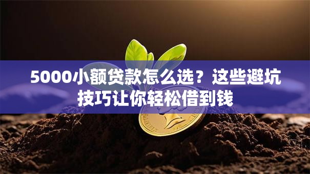 5000小额贷款怎么选?这些避坑技巧让你轻松借到钱 5000小额贷款怎么选?这些避坑技巧让你轻松借到钱