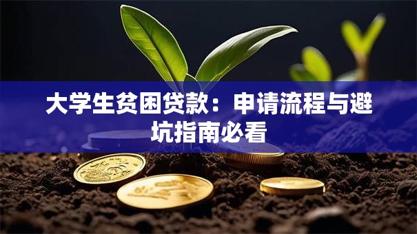 大学生贫困贷款：申请流程与避坑指南必看