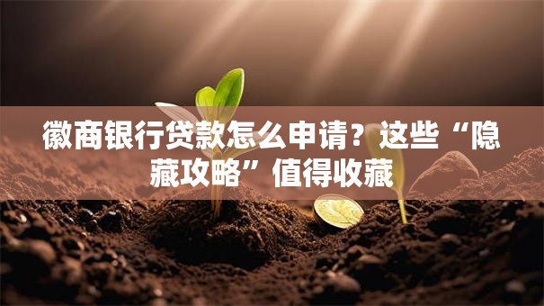 徽商银行贷款怎么申请?这些“隐藏攻略”值得收藏 徽商银行贷款怎么申请?这些“隐藏攻略”值得收藏