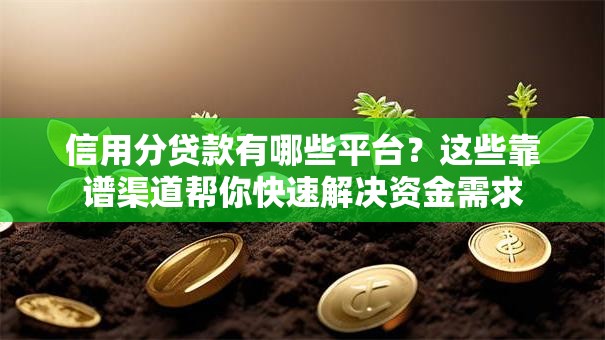 信用分贷款有哪些平台？这些靠谱渠道帮你快速解决资金需求