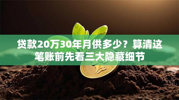 贷款20万30年月供多少?算清这笔账前先看三大隐藏细节 贷款20万30年月供多少?算清这笔账前先看三大隐藏细节