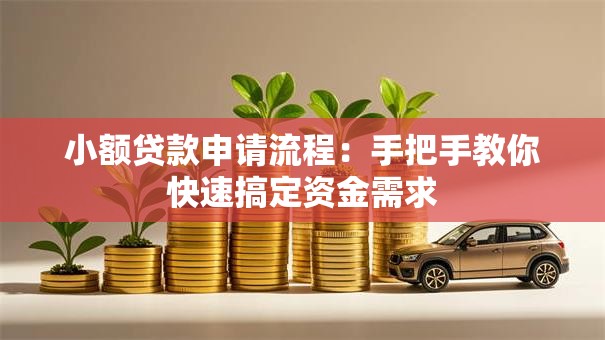 小额贷款申请流程：手把手教你快速搞定资金需求