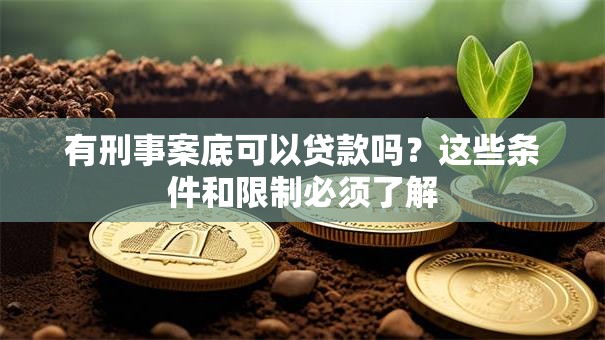 有刑事案底可以贷款吗？这些条件和限制必须了解