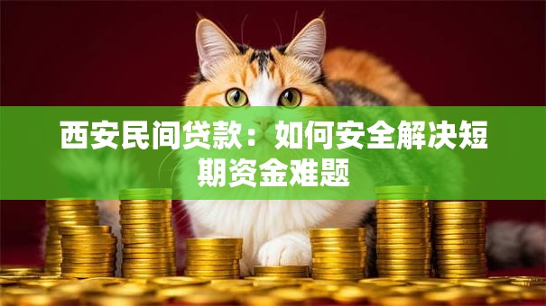 西安民间贷款:如何安全解决短期资金难题 西安民间贷款:如何安全解决短期资金难题