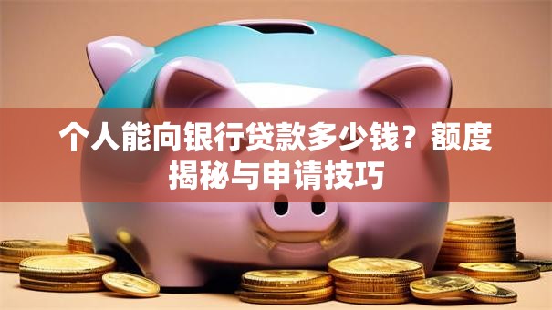 个人能向银行贷款多少钱?额度揭秘与申请技巧 个人能向银行贷款多少钱?额度揭秘与申请技巧