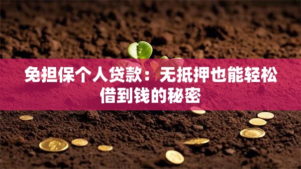 免担保个人贷款:无抵押也能轻松借到钱的秘密 免担保个人贷款:无抵押也能轻松借到钱的秘密