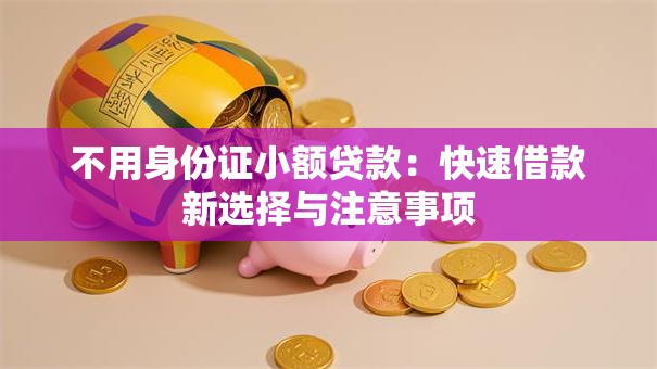 不用身份证小额贷款：快速借款新选择与注意事项
