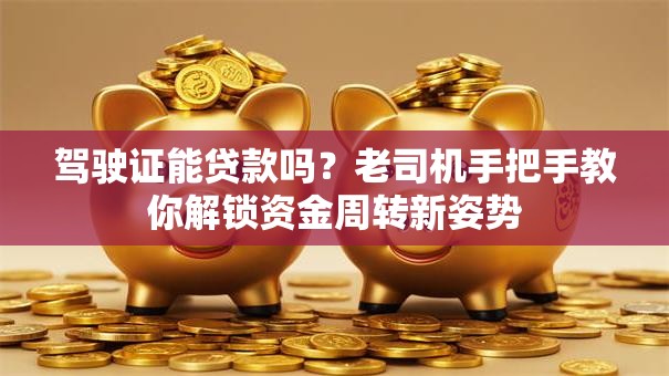 驾驶证能贷款吗？老司机手把手教你解锁资金周转新姿势