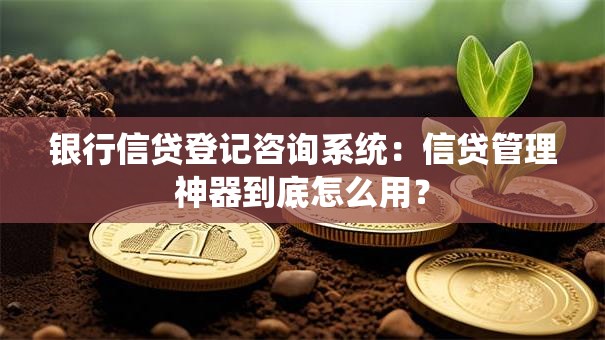 银行信贷登记咨询系统：信贷管理神器到底怎么用？