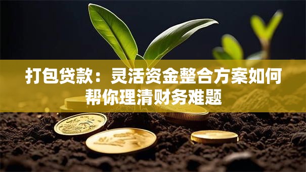 打包贷款:灵活资金整合方案如何帮你理清财务难题 打包贷款:灵活资金整合方案如何帮你理清财务难题