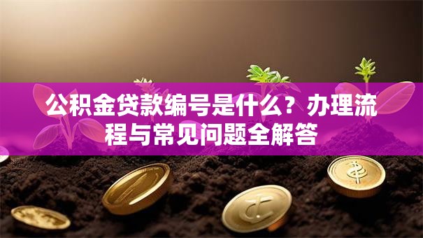 公积金贷款编号是什么?办理流程与常见问题全解答 公积金贷款编号是什么?办理流程与常见问题全解答