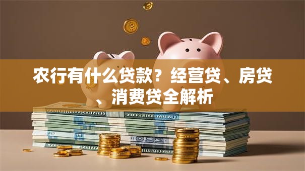 农行有什么贷款？经营贷、房贷、消费贷全解析