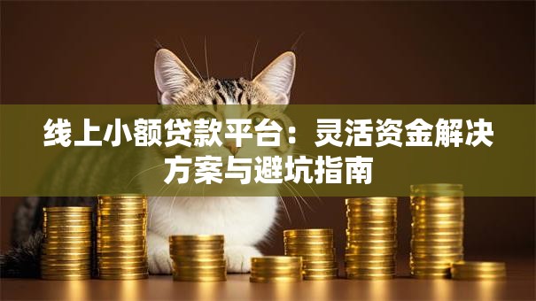 线上小额贷款平台：灵活资金解决方案与避坑指南