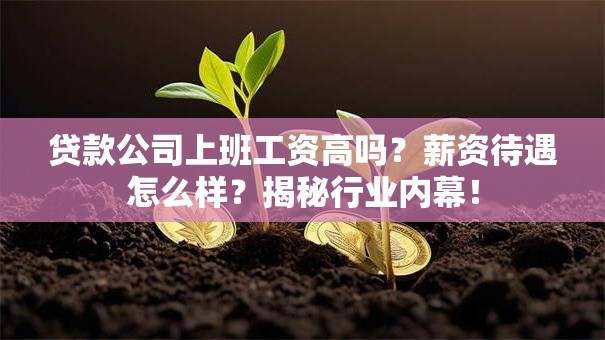 贷款公司上班工资高吗？薪资待遇怎么样？揭秘行业内幕！