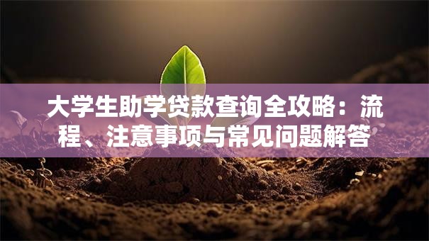 大学生助学贷款查询全攻略：流程、注意事项与常见问题解答