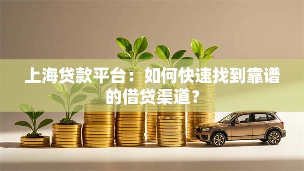 上海贷款平台：如何快速找到靠谱的借贷渠道？