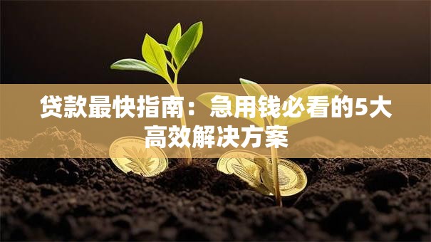 贷款最快指南：急用钱必看的5大高效解决方案