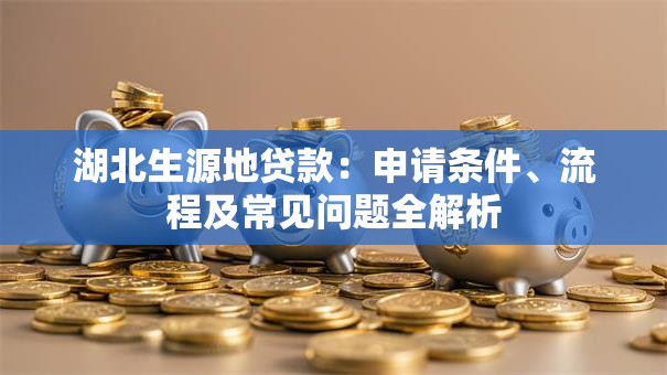 湖北生源地贷款：申请条件、流程及常见问题全解析