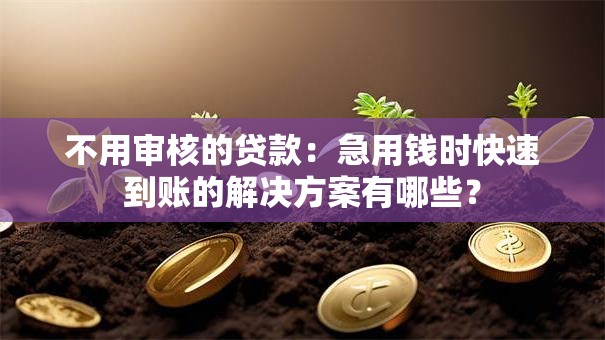 不用审核的贷款：急用钱时快速到账的解决方案有哪些？
