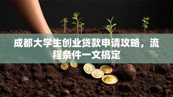 成都大学生创业贷款申请攻略,流程条件一文搞定 成都大学生创业贷款申请攻略,流程条件一文搞定