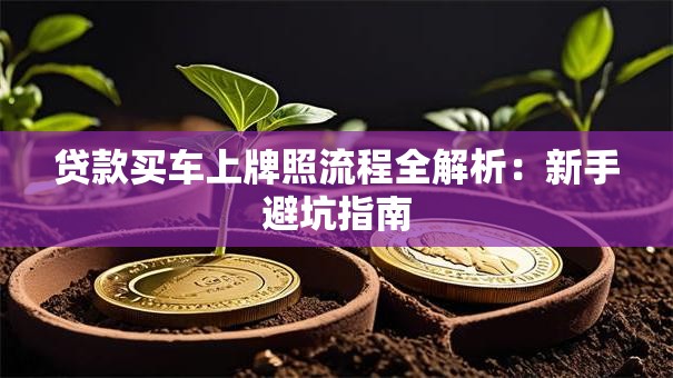 贷款买车上牌照流程全解析：新手避坑指南