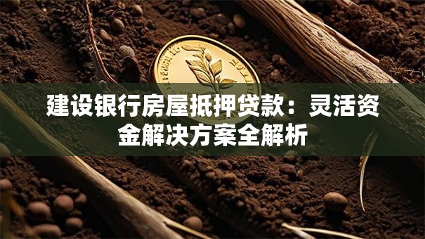 建设银行房屋抵押贷款：灵活资金解决方案全解析