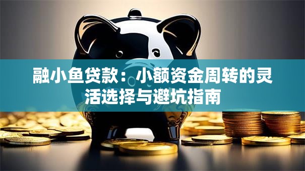 融小鱼贷款:小额资金周转的灵活选择与避坑指南 融小鱼贷款:小额资金周转的灵活选择与避坑指南