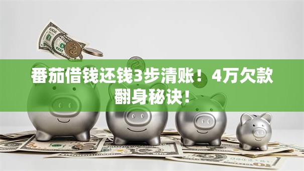 番茄借钱还钱3步清账！4万欠款翻身秘诀！
