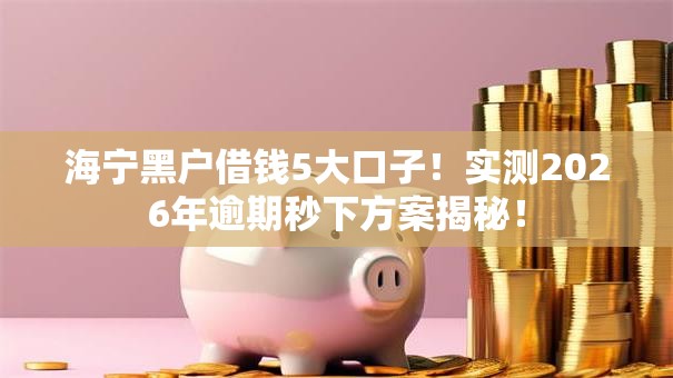 海宁黑户借钱5大口子！实测2026年逾期秒下方案揭秘！