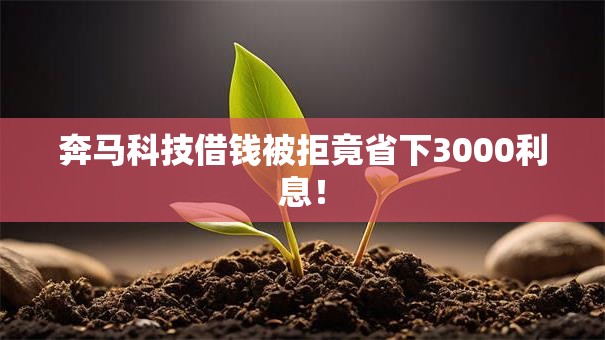 奔马科技借钱被拒竟省下3000利息！