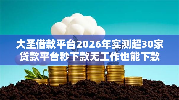 大圣借款平台2026年实测超30家贷款平台秒下款无工作也能下款解密