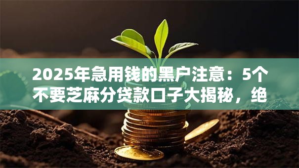 2025年急用钱的黑户注意：5个不要芝麻分贷款口子大揭秘，绝对秒批！
