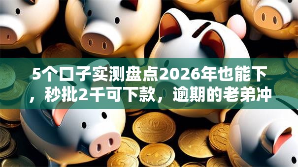 5个口子实测盘点2026年也能下，秒批2千可下款，逾期的老弟冲冲冲